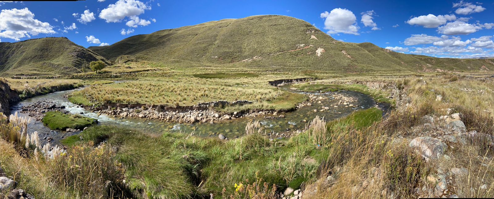 EARTH RESOURCES ENVIRONMENTAL TECHNOLOGIES S.A.C. Background